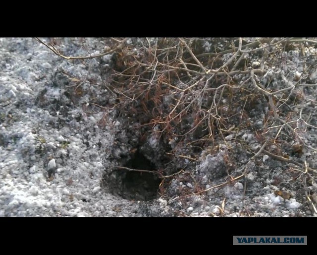 Видео растреляного автобуса под Волновахой