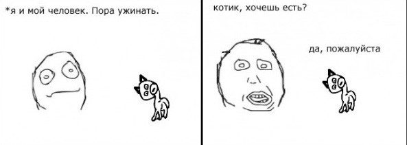 Что пытаются сказать нам кошки..