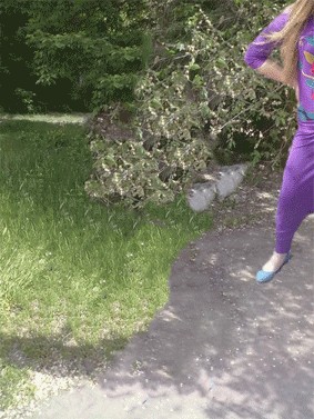 Сезон открыт!