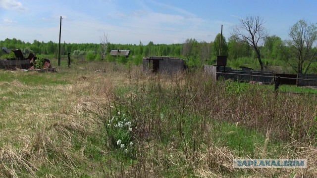 Одна из многих российских деревень
