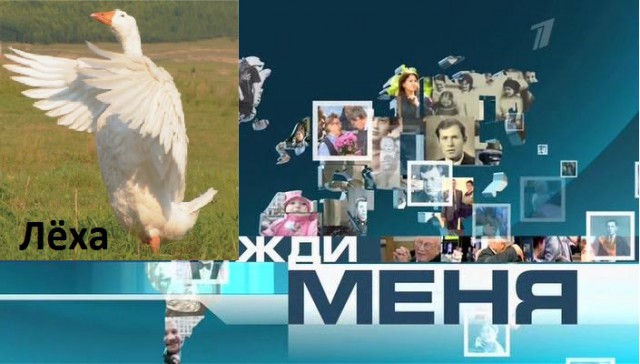 Забавные картинки из сети