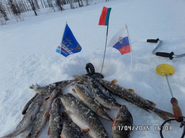 Дары Севера