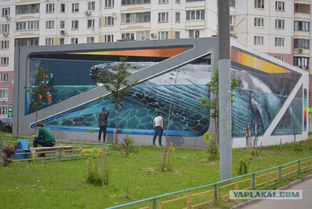 Когда граффити становится искусством