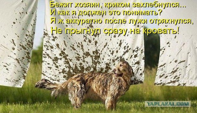 Немного картинок и демотиваторов