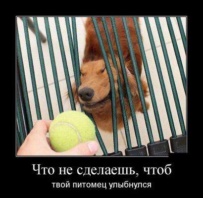 Очередная порция картинок с буквами на черном фоне