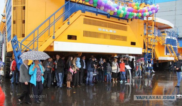 Подборка картинок из сети