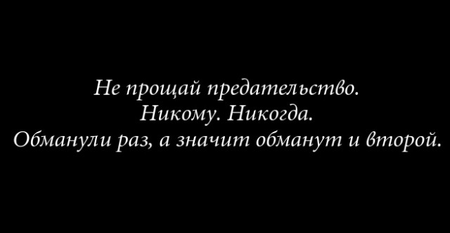 Турецкий поэт Хюсейн Хайдар извинился перед россиянами за сбитый Су-24