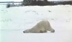 Пятница против понедельника