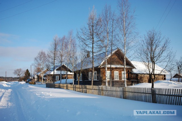 Что начинаешь понимать, пожив в деревне