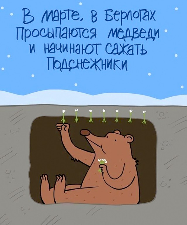 Подборка интересных и веселых картинок