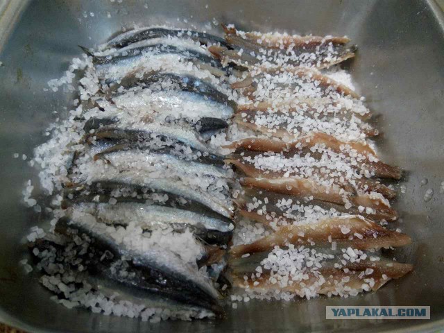 Анчоусы и бонус с ними.
