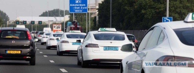 Динозавры заметили Tesla и решили догнать