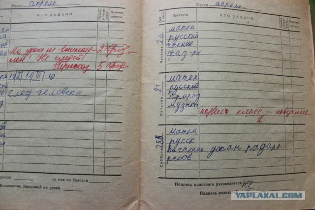 Замечания в дневниках
