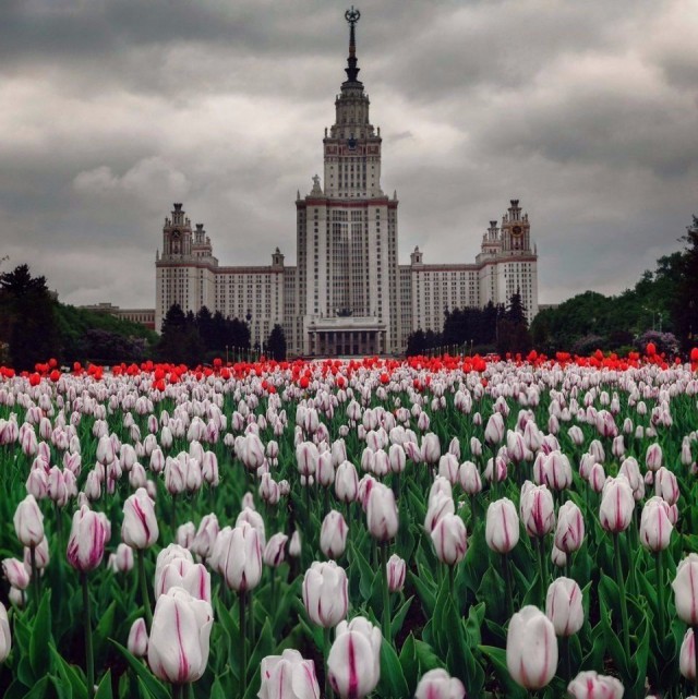 Всякие разные картинки