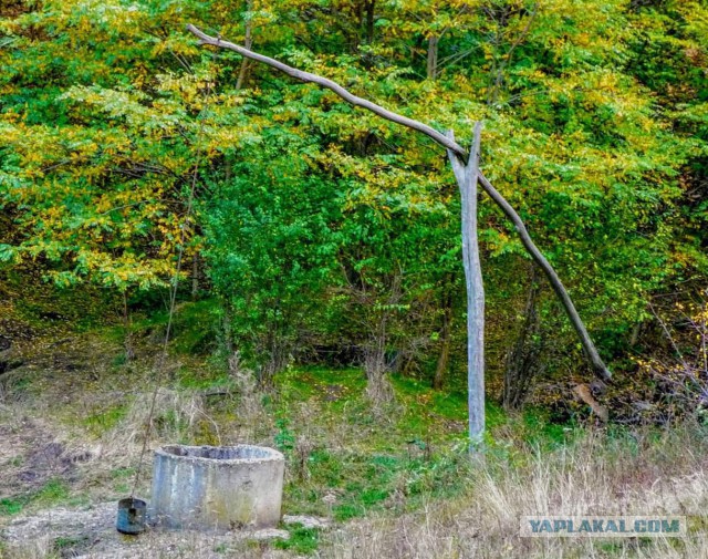 Просто Природа