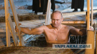 «Как жаль, что у нас нет Путина»: иностранцы с восторгом завидуют
