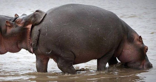 Временный пост. Всякое-разное