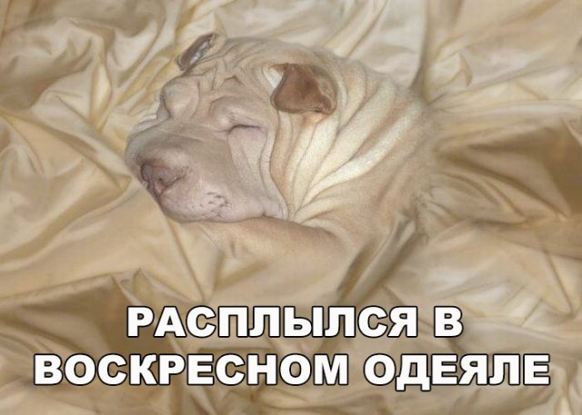 Нестандартный юмор