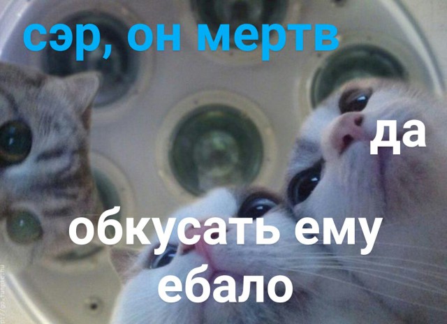 Специфический юмор