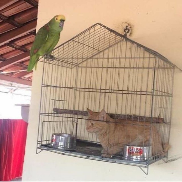 Фото, на которых все могло бы быть нормально, если бы не одно но...