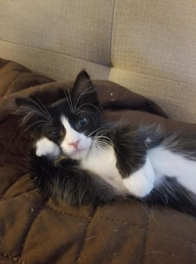 Немного милоты
