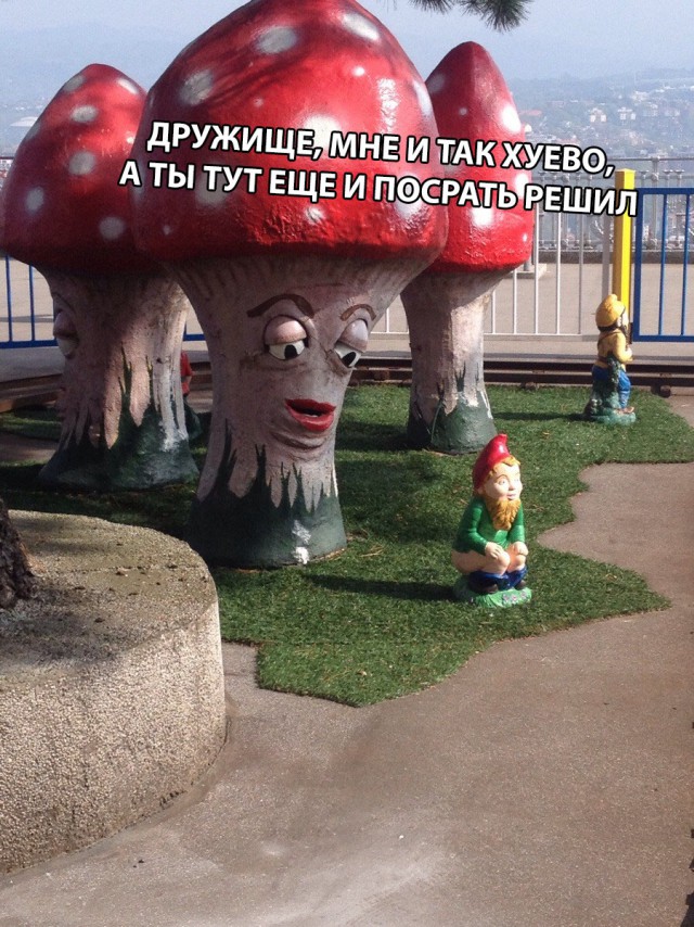 Нестандартный юмор