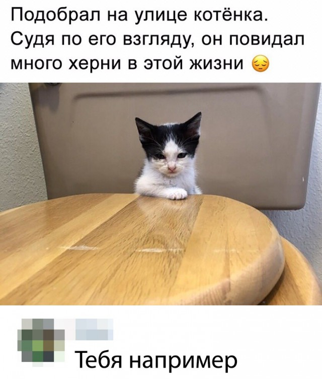 Немного милоты