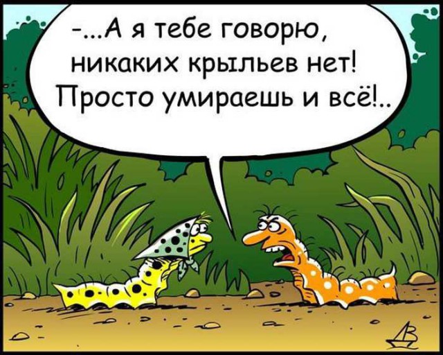 Нестандартный юмор