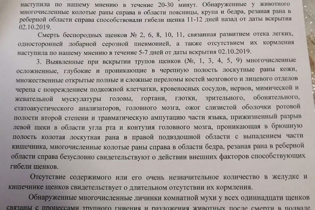 Звериный оскал зоозащиты