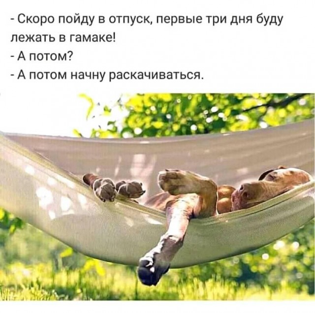 Так себе картинки 29.06.20