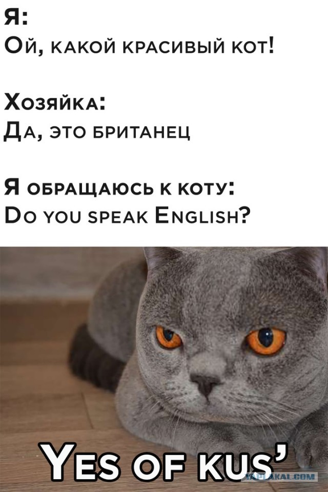 Немного картинок для настроения 17.07.20