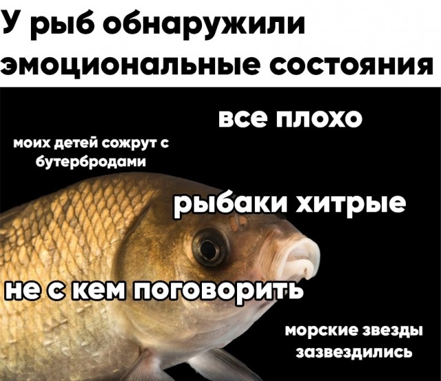 Чуток картинок 23.07.20