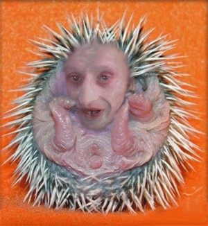 Каска