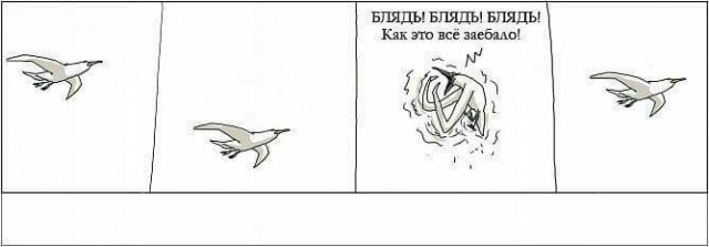 Бредзона 01.12.20