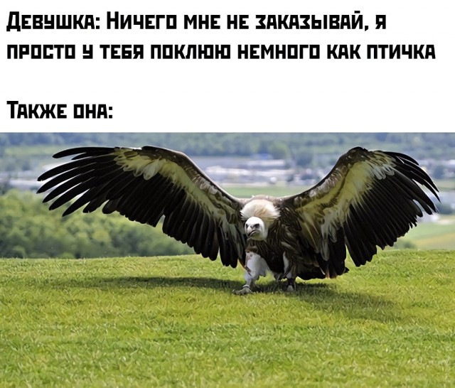 Картинки и мемы для настроения 024