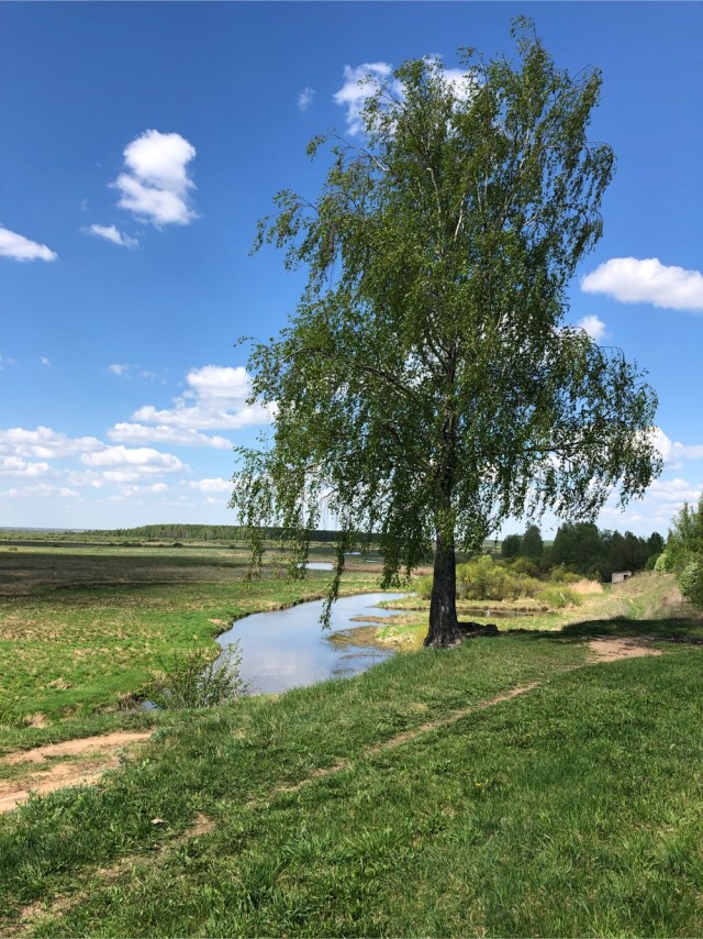Красота фотографии