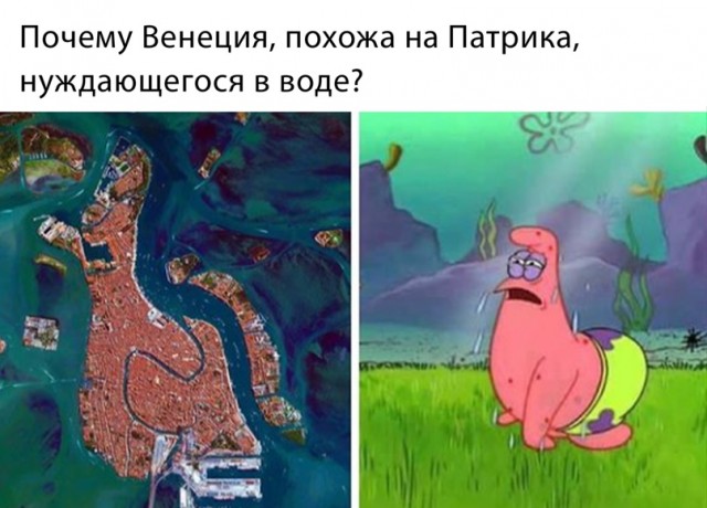 Весёлый полтишок 24.02