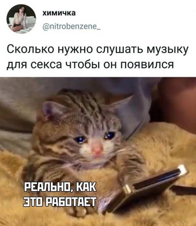 Картинки и мемы для настроения