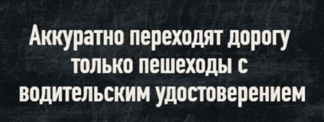 Весёлый полтишок 14.04