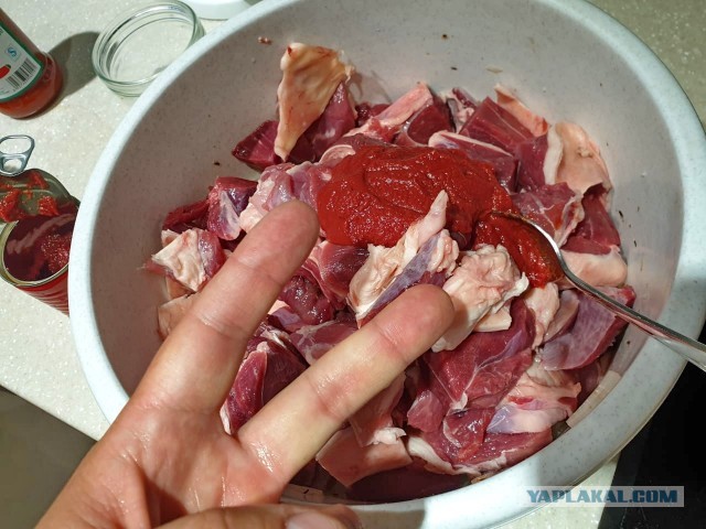 Шашлык, рецепты маринада, все про шашлык!