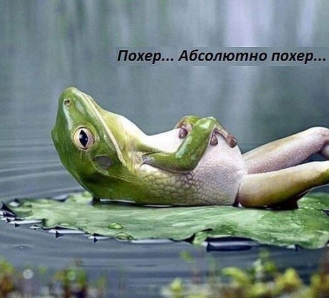 Всяческие картинки 09.07.2021