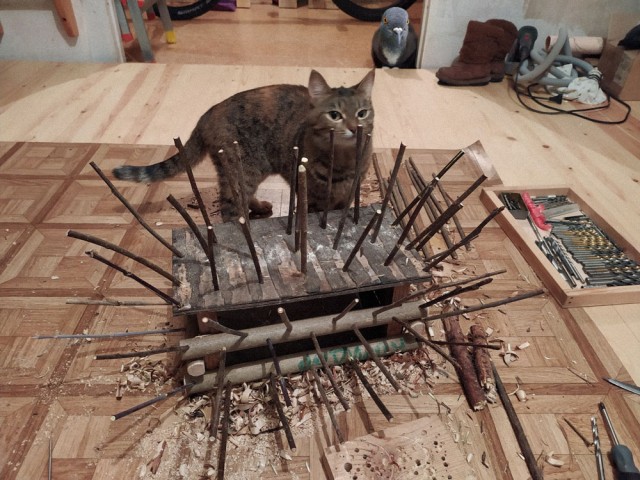 Голуби СТОП!