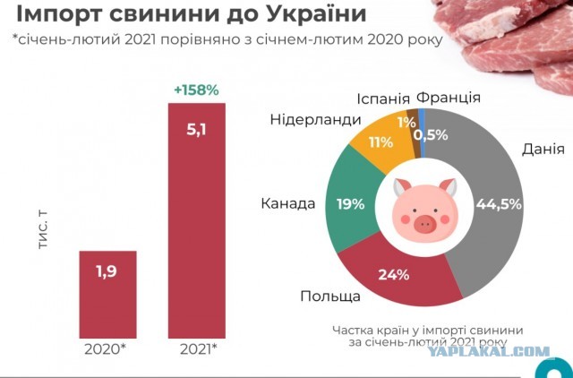 Этот Киев меня доконает (нет)
