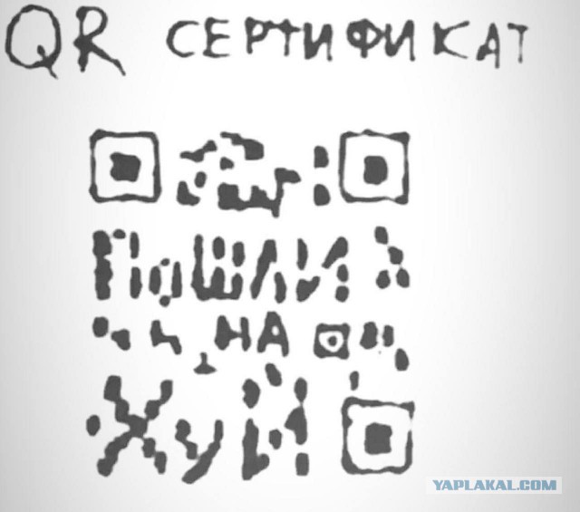 В Челябинской области охранникам дали право применить силу, если люди будут проходить без QR-кода