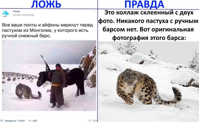 Ты же читать не умеешь