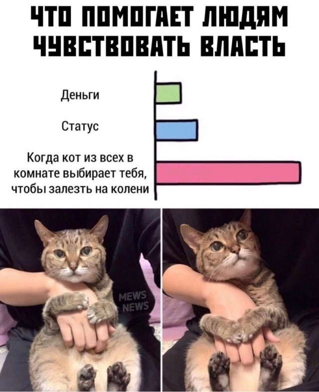 Картинки и мемы для настроения 13.12.2021