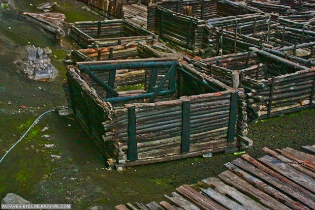 Археологический музей «Берестье»