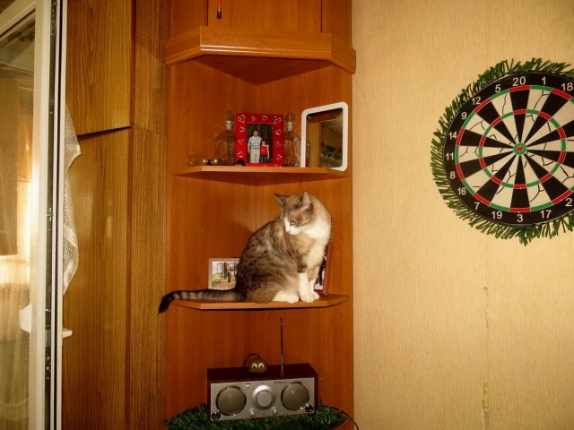 Котовторниковское