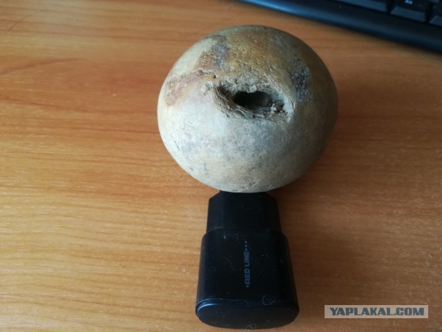 Вдогонку яйцу дракона