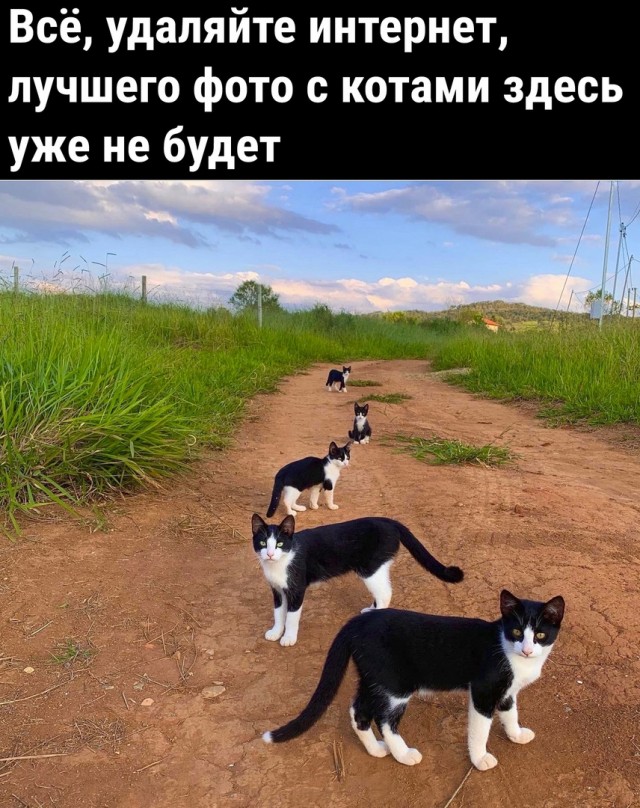 Так себе картинки 05.05.22